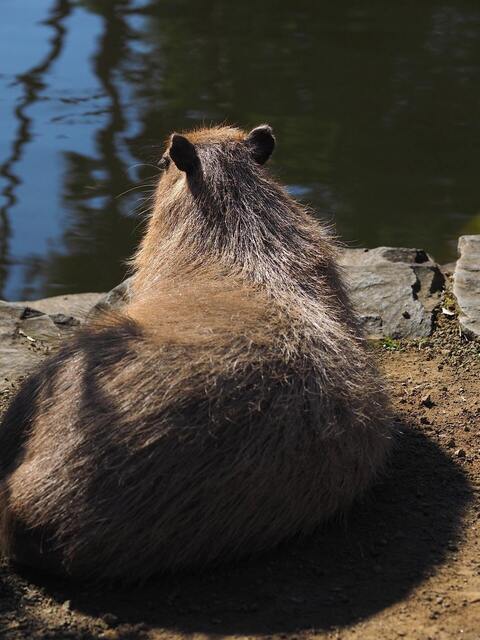 MB049030_2048x1536_補正随.jpg