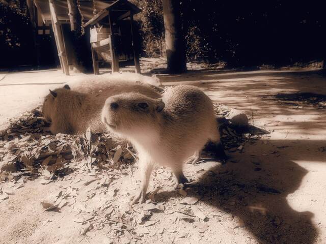 MB049084_2048x1536_補正随.jpg