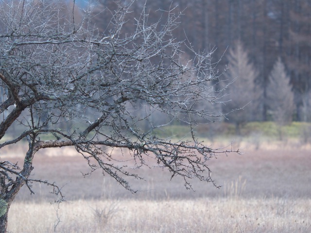 MB092634_2048x1536_補正済.jpg