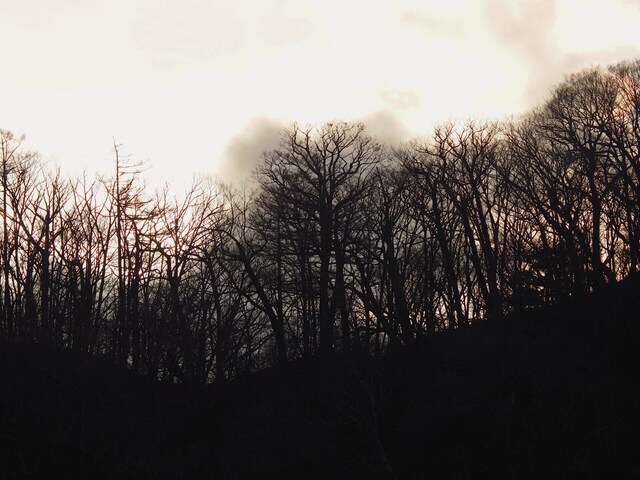 MB092638_2048x1536_補正済.jpg