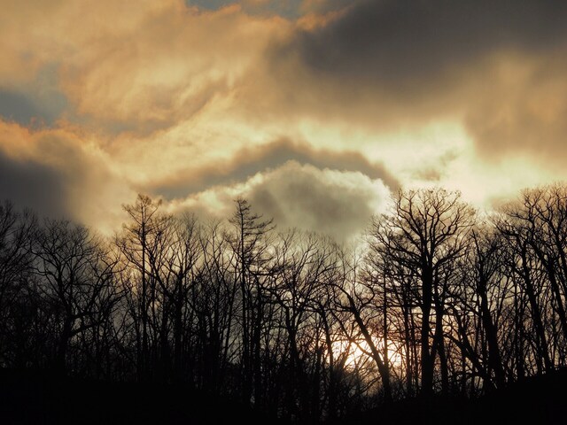 MB092679_2048x1536_補正済.jpg