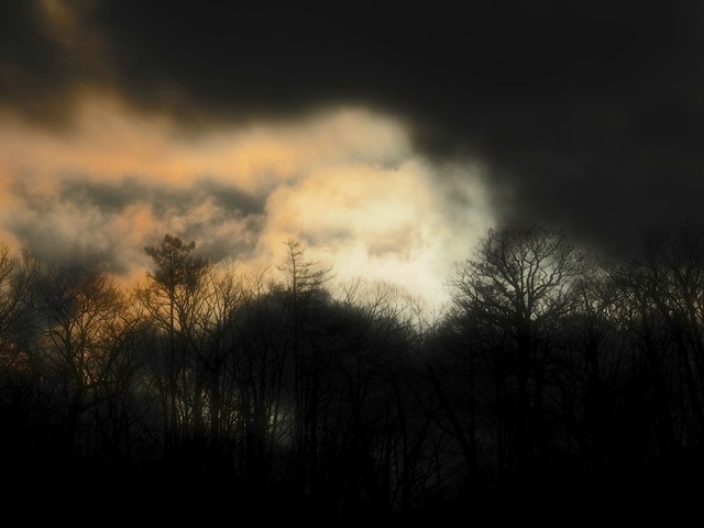 MB092698_2048x1536_補正済.jpg