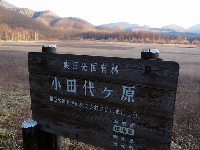 MB092716_2048x1536_補正済.jpg