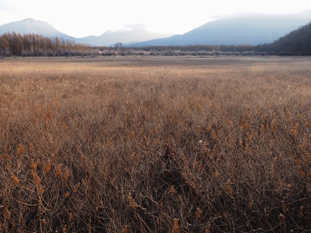 MB092723_2048x1536_補正済.jpg
