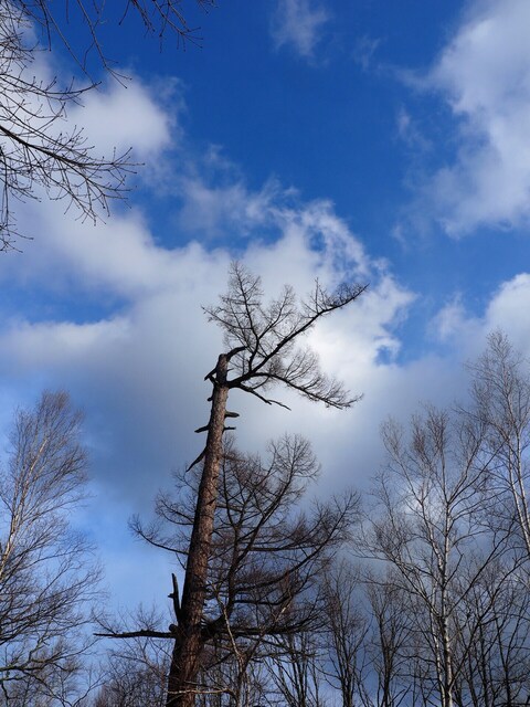 MB092765_2048x1536_補正済.jpg