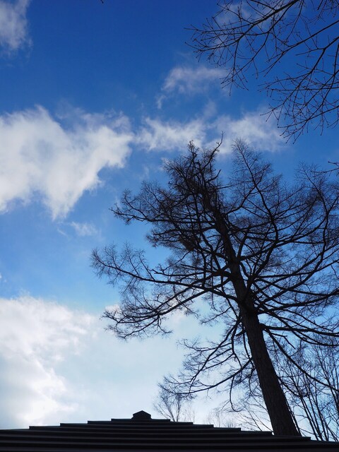 MB092767_2048x1536_補正済.jpg