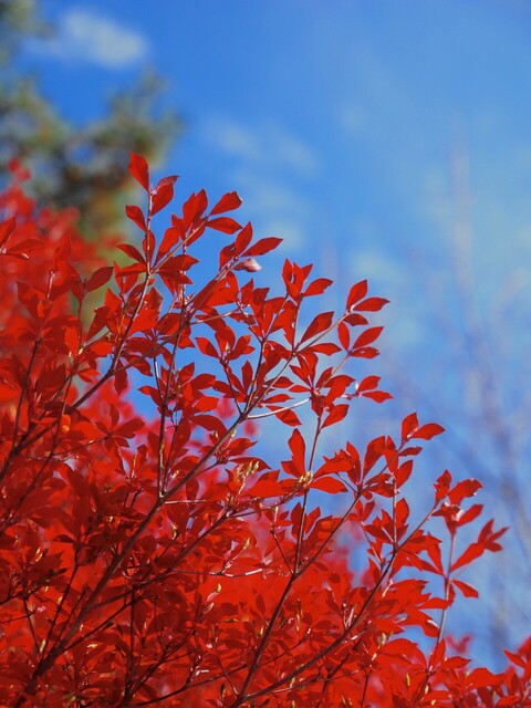 MB092783_2048x1536_補正済.jpg