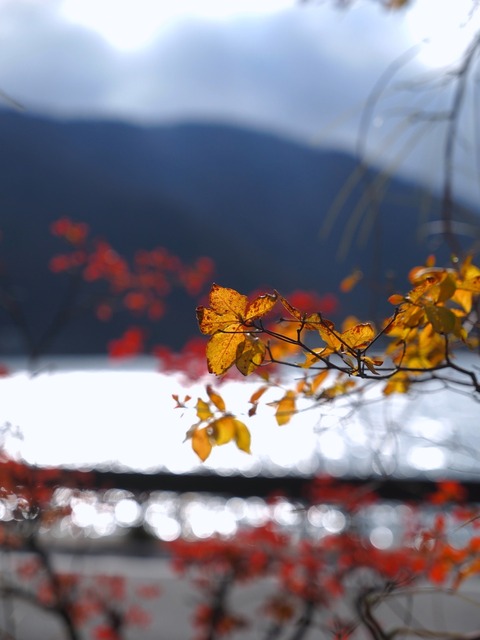 MB092787_2048x1536_補正済.jpg