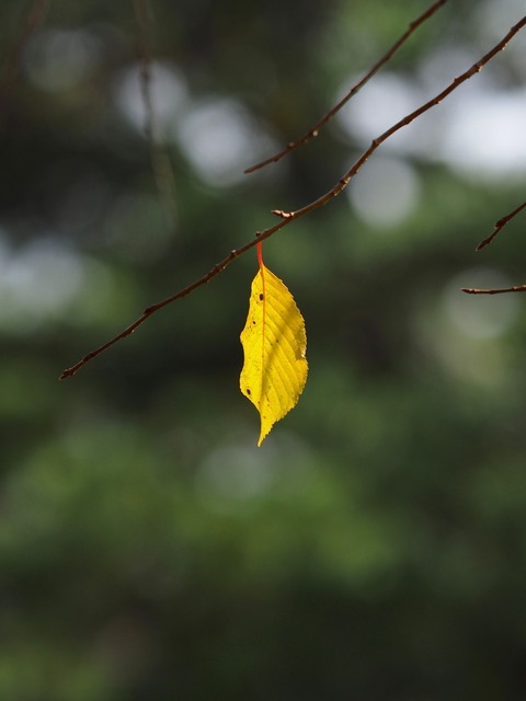 MB092854_2048x1536_補正済.jpg