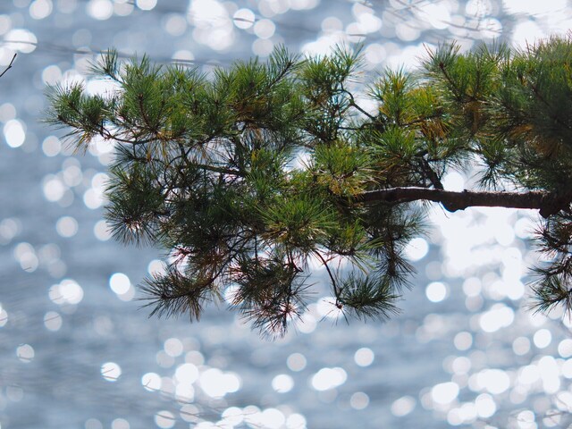 MB092870_2048x1536_補正済.jpg