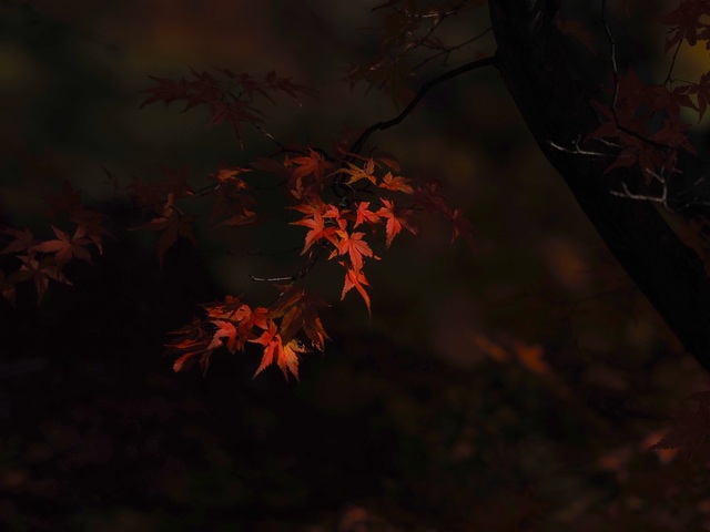 MB092897_2048x1536_補正済.jpg