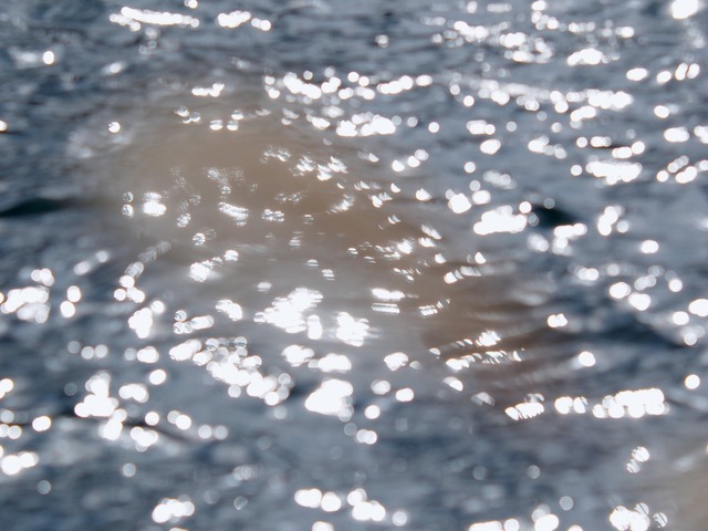 MB093006_2048x1536_補正済.jpg