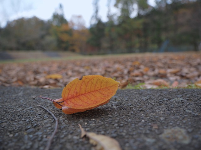 MB093027_2048x1536_補正済.jpg