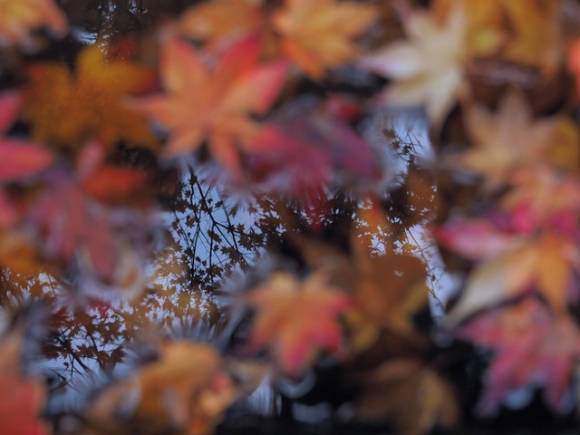 MB093037_2048x1536_補正済.jpg