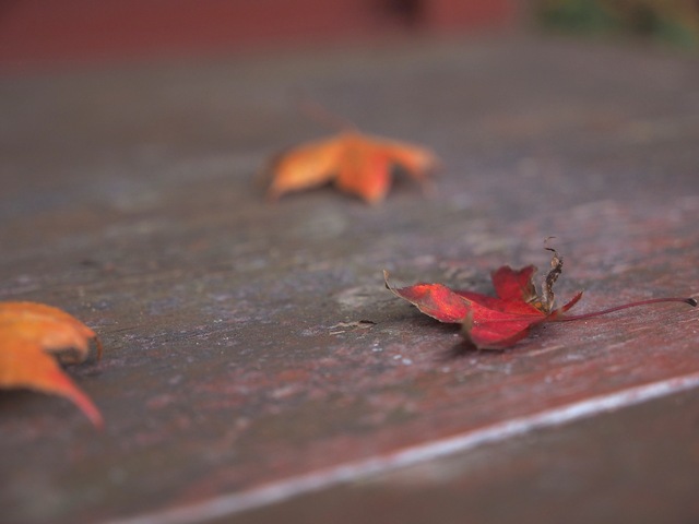 MB093054_2048x1536_補正済.jpg