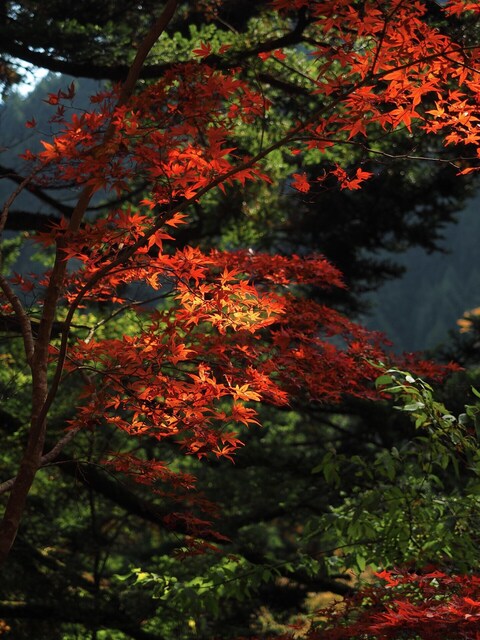 MB163959_2048x1536_補正済.jpg
