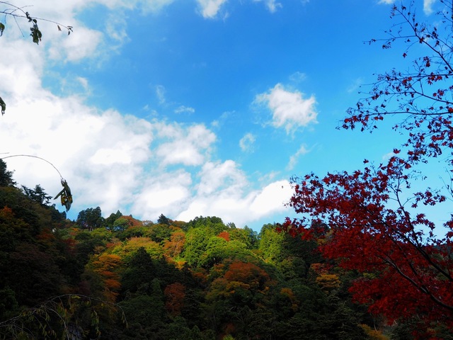 MB164056_2048x1536_補正済.jpg