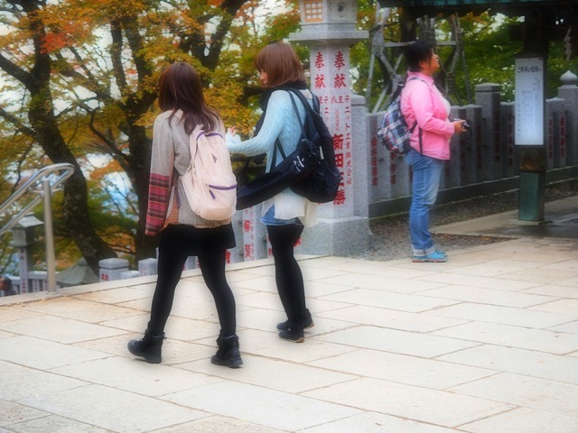 MB164105_2048x1536_補正済.jpg