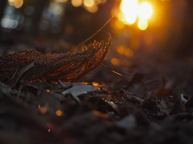 MB169197_2048x1536_補正済.jpg