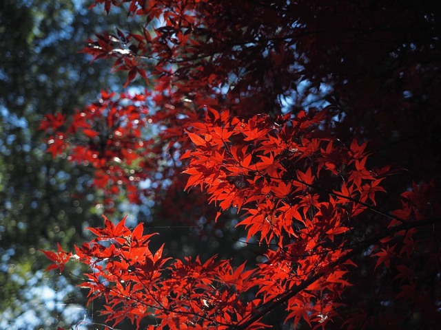 MB234514_2048x1536_補正済.jpg