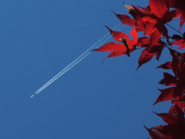 MB234541_2048x1536_補正済.jpg