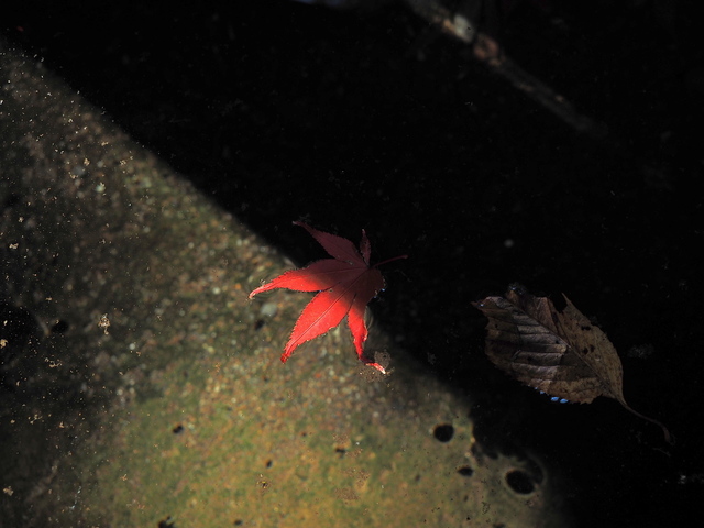 MB234563_2048x1536_補正済.jpg