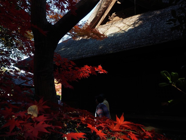 MB234628_2048x1536_補正済.jpg
