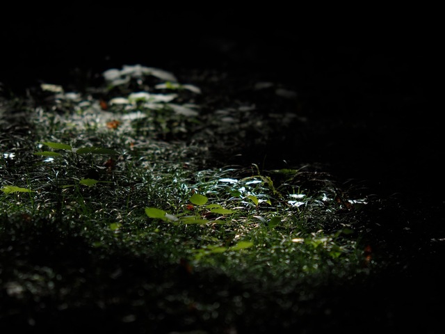 MB234759_2048x1536_補正済.jpg