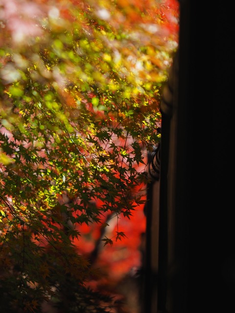MB234770_2048x1536_補正済.jpg