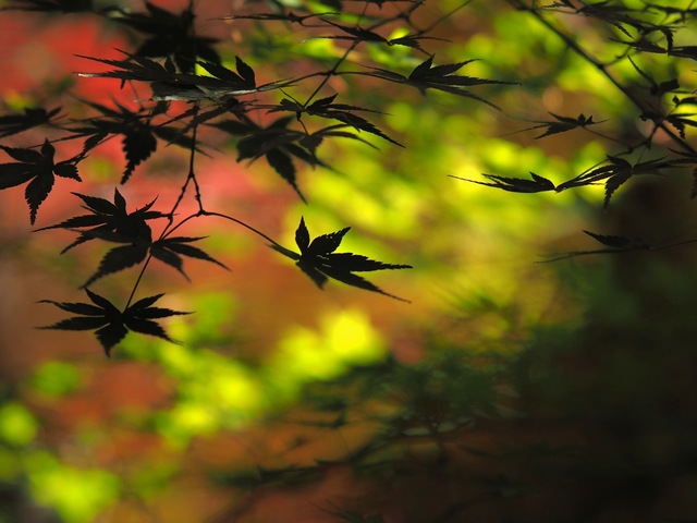 MB234777_2048x1536_補正済.jpg