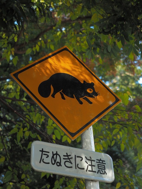 MB234808_2048x1536_補正済.jpg
