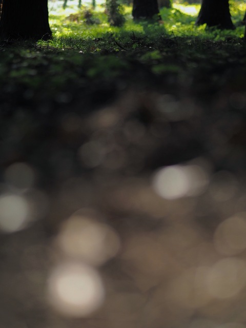 MB245037_2048x1536_補正済.jpg