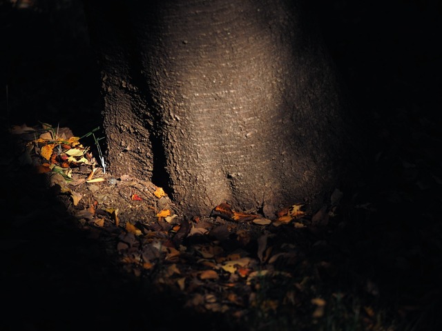 MB245045_2048x1536_補正済.jpg