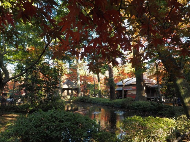 MB245072_2048x1536_補正済.jpg