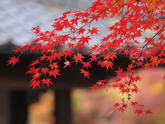 MB249476_2048x1536_補正済.jpg