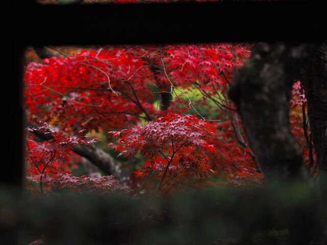 MB249480_2048x1536_補正済.jpg