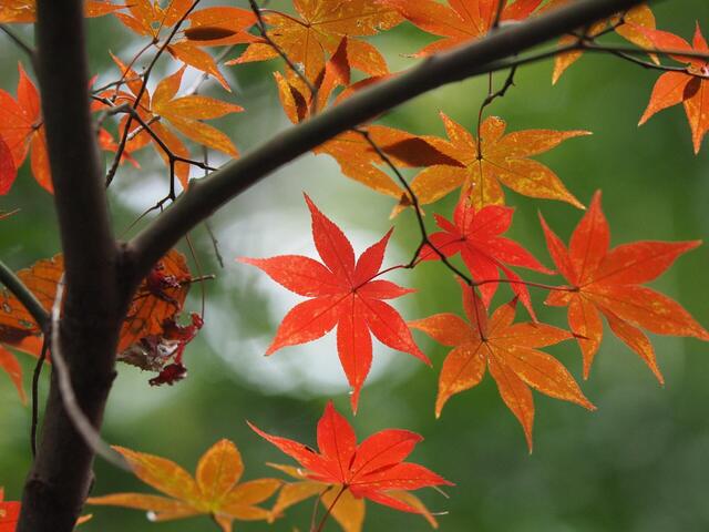 MB249483_2048x1536_補正済.jpg