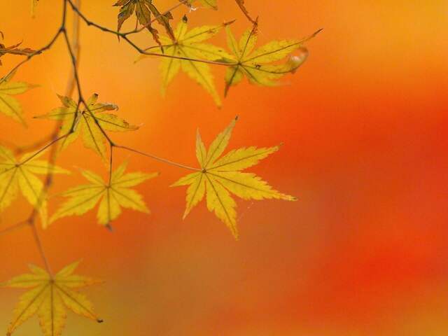 MB249485_2048x1536_補正済.jpg