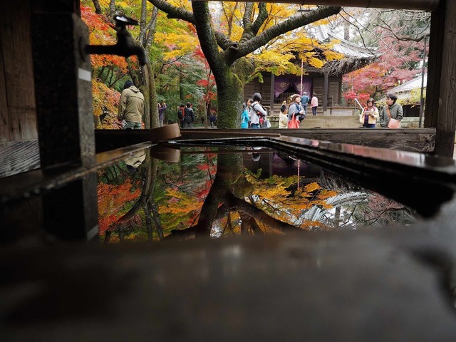 MB249536_2048x1536_補正済.jpg