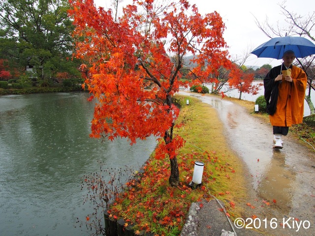 MB273918_2048x1536_signed.jpg