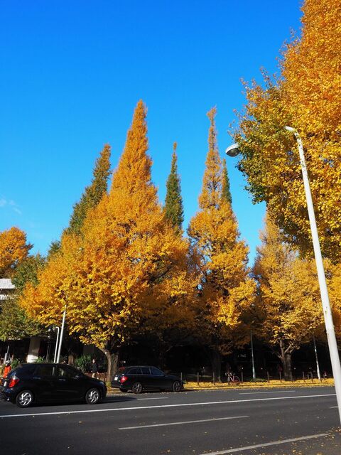 MB305165_2048x1536_補正済.jpg
