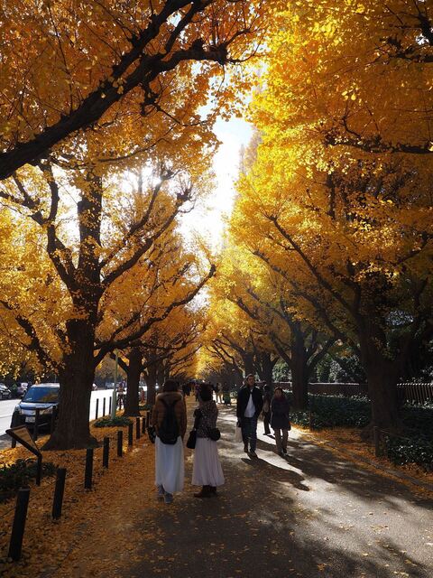 MB305245_2048x1536_補正済.jpg