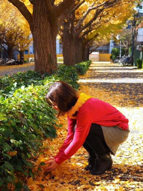 MB305277_2048x1536_補正済.jpg