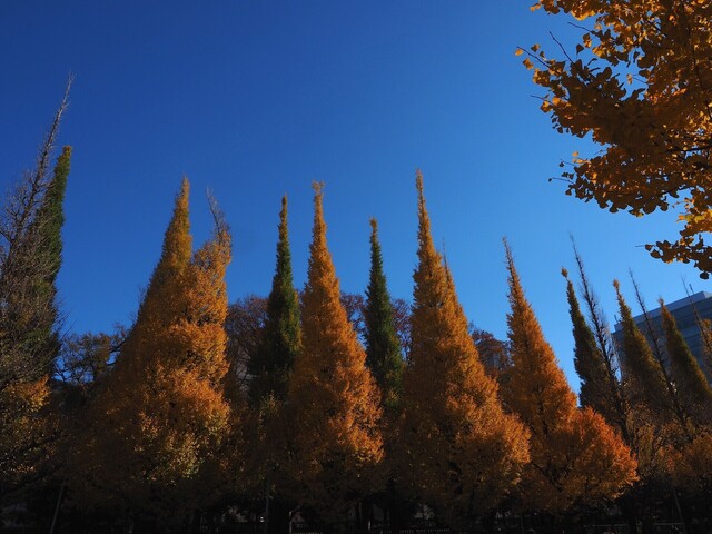 MB305368_2048x1536_補正済.jpg
