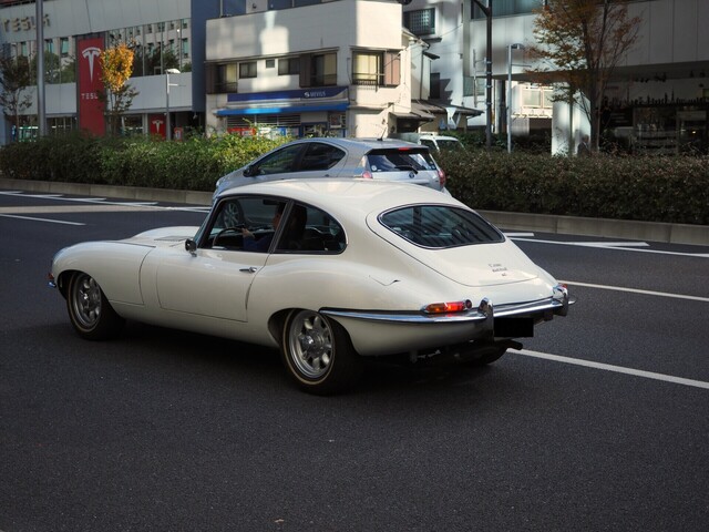 MB305414_2048x1536_補正済.jpg