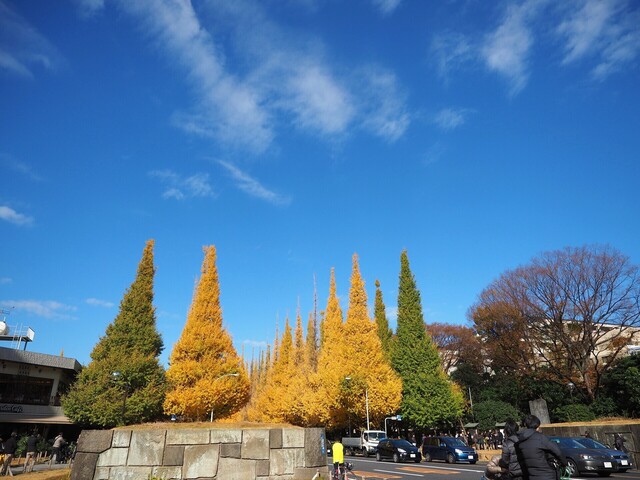 MB305415_2048x1536_補正済.jpg