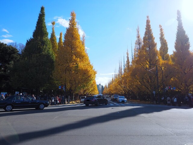MB305440_2048x1536_補正済.jpg
