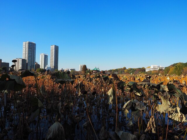 MB305468_2048x1536_補正済.jpg