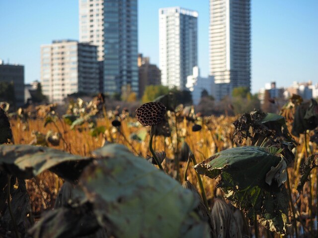 MB305472_2048x1536_補正済.jpg
