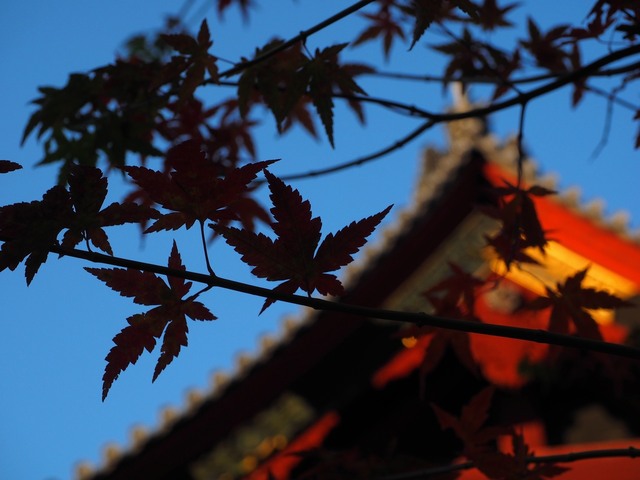 MB305514_2048x1536_補正済.jpg
